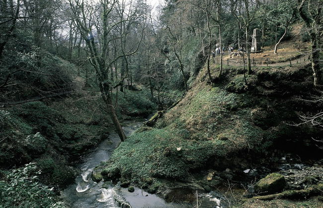 Stunning Premium Yurt in Kelburn Estate Near Largs - Photo 9