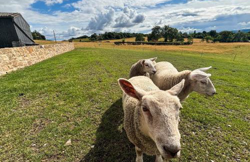 Shropshire Way Stay - Foto 13