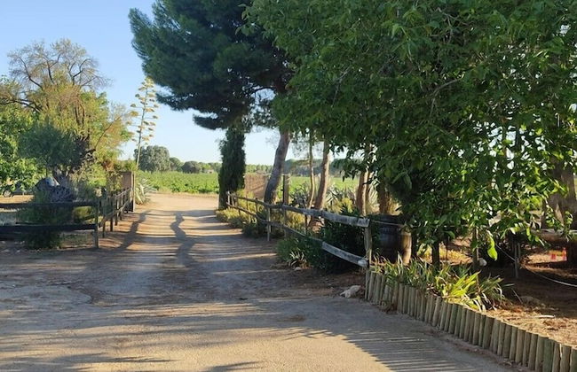 Casa Rural La Navarra - Foto 41