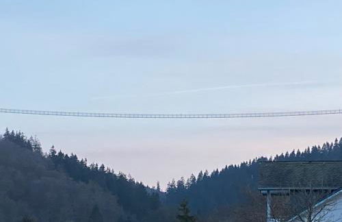 FeWo Skywalk Willingen - Foto 6
