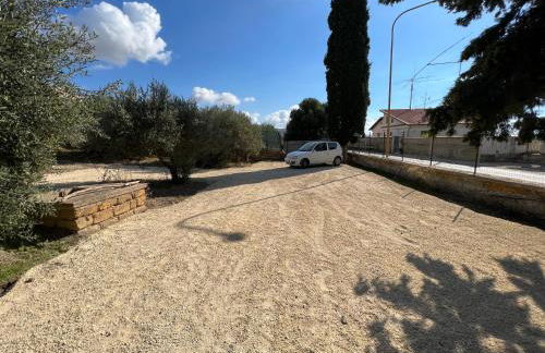 Ulivi di Cleo - Foto 48