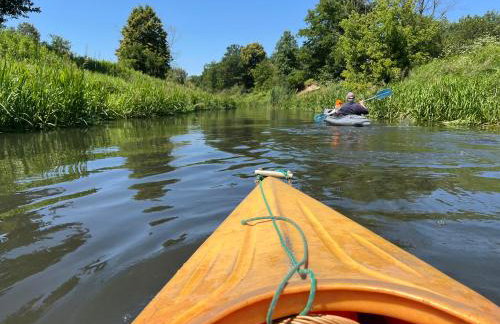 Leśna Oaza Radawa - Foto 27