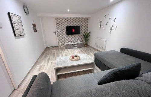 Metz Moulins 2 pièces - Foto 1