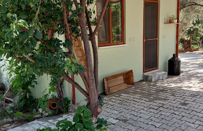 Assos Günöven Butik Apart Otel - Foto 34