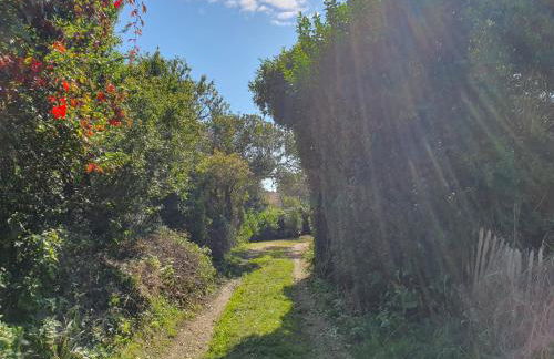 East View Cottage iow - Foto 16