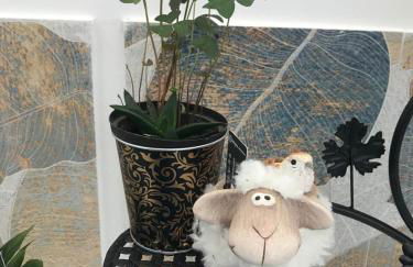 A Castelana de Cea - Foto 17