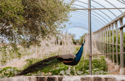 Sa Talaia Blanca - Foto 7