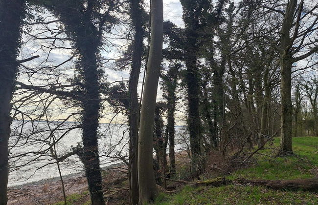 4 Person Holiday Home in Kalvehave - Foto 19