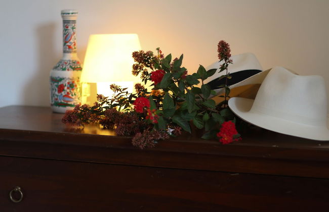 Villa Mangini - Foto 7