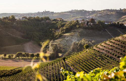 Villa Vinory - La Mandragola - Foto 64