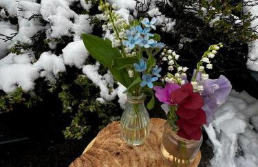 La scierie de la grande ourse - Foto 5