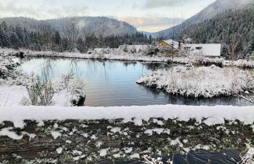 Le Perchoir- Grand Valtin 6 pers - Foto 29