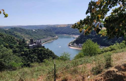 Ferienwohnung Bussard - Foto 17