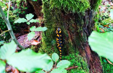 Somewhere Between Apartments - Foto 48