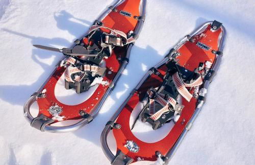 Biosphärenzimmer Bad Urach - Photo 14