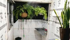 Casa COP30 - Foto 5