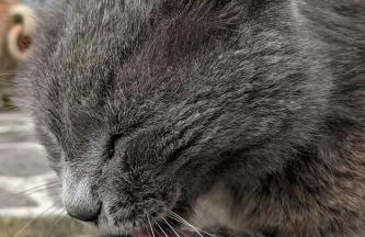 Marina VIP - Foto 20