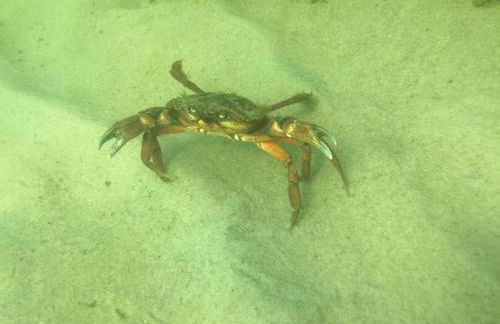 Ferienwohnungen Matschak OG rechts - Foto 19