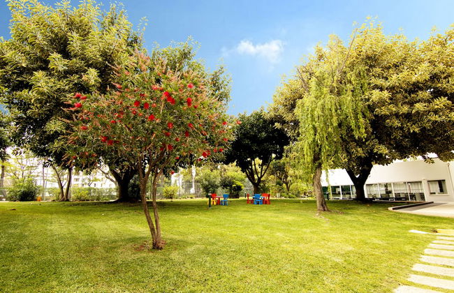 The Navigator - Olympus - Foto 48