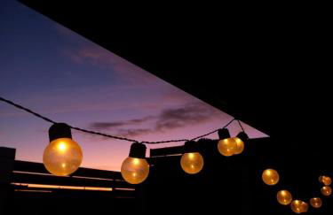 Canary Wild House 2 - Photo 37