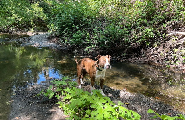 Zegarra Estate - Foto 71