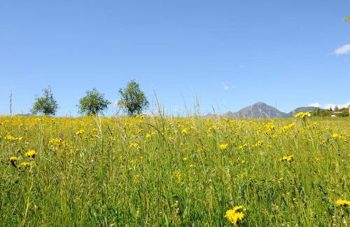 Residenza Casale - Foto 71