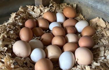 La Maison Patricia - Foto 19