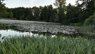 Apartament VIP PROMENADA - Foto 3