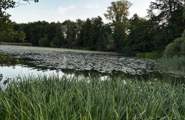 Apartament VIP CENTRUM - Foto 2