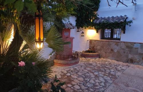 Aire Libre - Foto 22