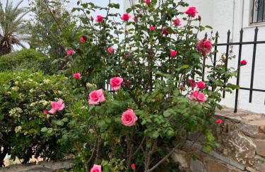 Island Away Chersonisos - Foto 6
