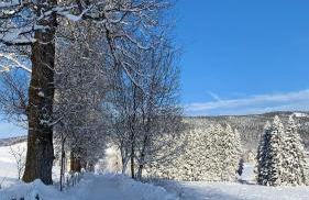 Casa Rigoni - Foto 33