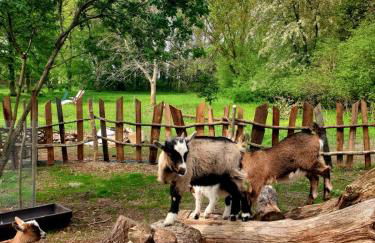 Bensdorfer Mühle - Auszeit in Brandenburg - Foto 15