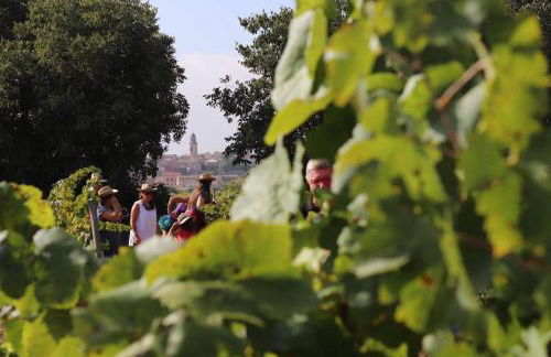 Disfruta de una escapada Rural en Ca la Lola - Foto 7