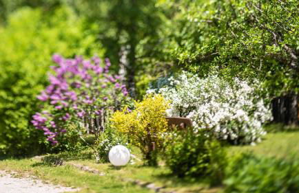 Residence Lärchenhäusl - Foto 42