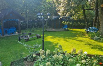 Niezapominajka - Foto 48