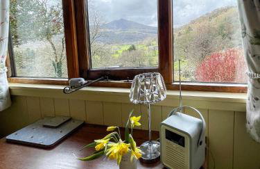 5 Star Shepherds Hut in Betws y Coed with Mountain View - Foto 14