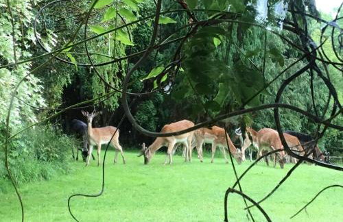 Brook Farm - Foto 51