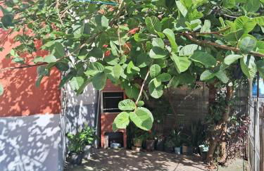 Ground floor apartment - Foto 12