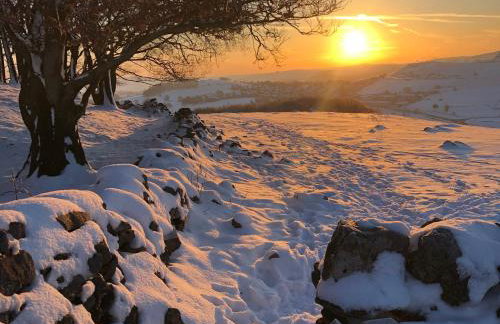 Woodland View - Photo 25