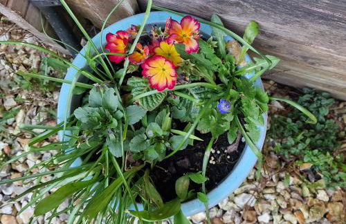 Cherry Orchard Retreat - Photo 10