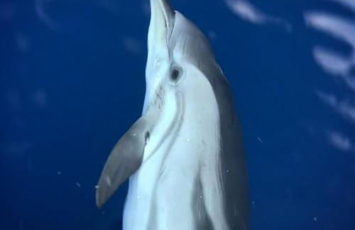 La Dimora di Ulisse - Foto 42