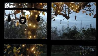 CASA RURAL LIMÓN Y SOL - Foto 4