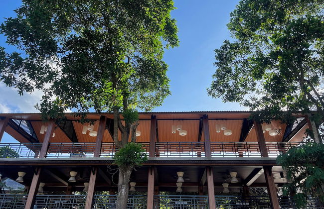 Nguyen Shack Retreat - Foto 64