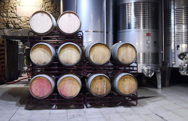 Casa Moreiras Winery Tour + Tasting - Photo 8