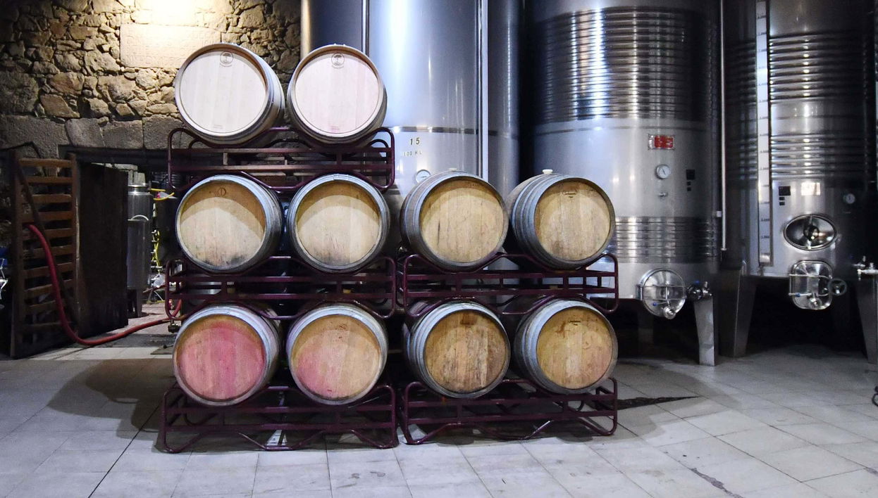 Casa Moreiras Winery Tour + Tasting - Foto 1