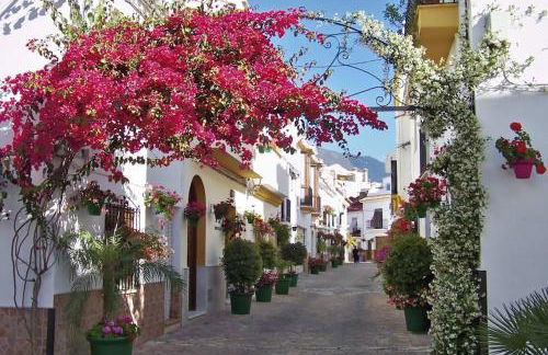 SR Wellingtonia Estepona Centro - Foto 45