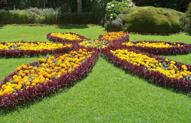 ONELOVEDALE Blusalz Homes - Foto 7