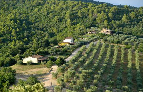 Tenuta di Forte Sorgnano - Foto 16