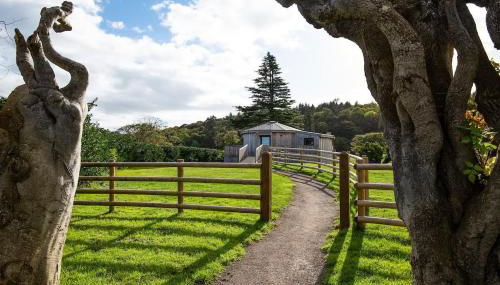 The Treehouse - Foto 2